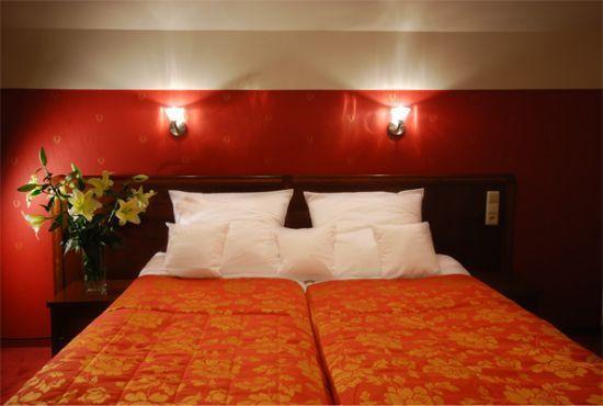 Hotel Victoria Włocławek Стая снимка